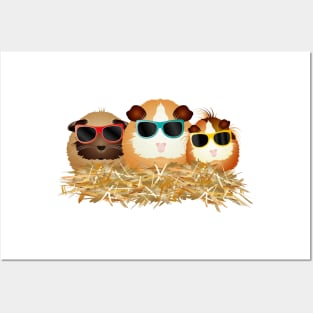 cool guinea pig group with sunglasses Posters and Art